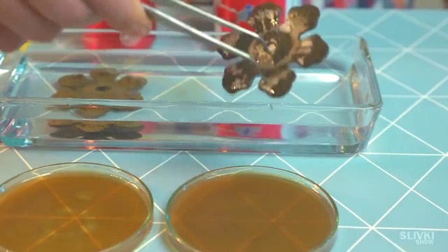 Мы нашли лучшее средство против ржавчины [slivkishow]