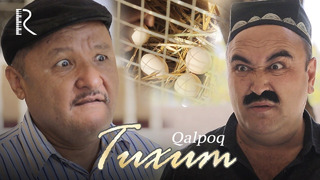 Qalpoq – Tuxum (hajviy ko’rsatuv)