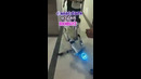 Robotlar dars o’tsa
