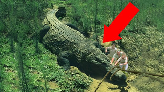 Этот Крокодил Держал в Страхе Весь Остров — Самые Опасные Животные в Мире