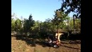 Как научиться делать заднее сальто