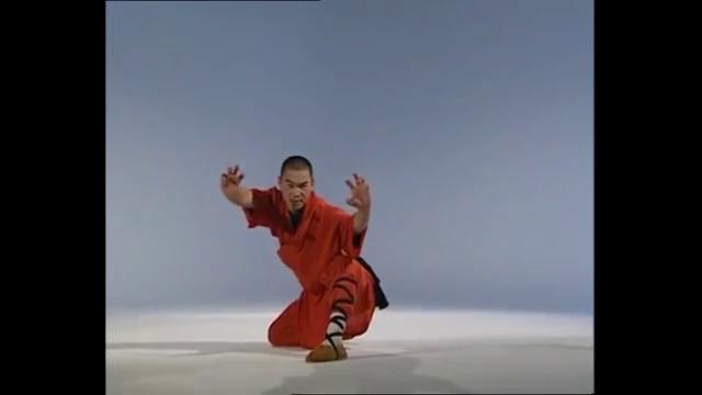Shaolin kung-fu. 19 стиль леопарда
