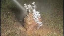 Что будет если в муравейник залить расплавленый алюминий