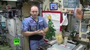 Оливье в условиях невесомости