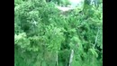 Экстремальный спуск на канатной дороге