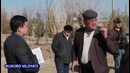 Buxoro viloyati olot tumanida joylashgan koprik holati / kun.uz reportaji