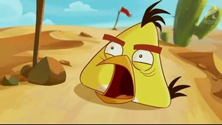 Angry Birds Toons. 20 серия – «Run Chuck Run»
