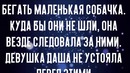 Девушку ждал дома скандал из-за маленькой собачки