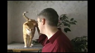 Кошка инструкция для инженера