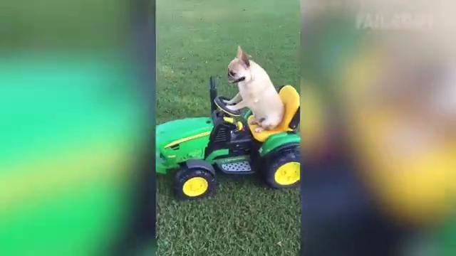 FailArmy After Dark: Say It, Don’t Spray It (Ep. 7)