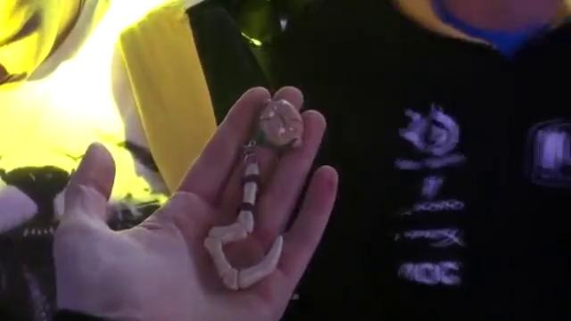 Gift for Dendi @ WCA 2014