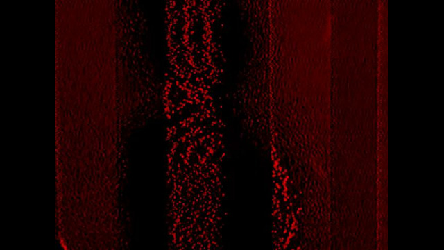 MIRAVAM – Mama’s Boy (Oficiall Visualizer)