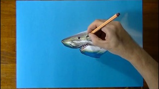 Реалистичное рисование акулы на синем фоне / Drawing Time Lapse: a cute shark