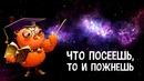 Эффекты и принципы – Закон бумеранга