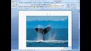 26. Самоучитель по Word 2007 – Настройка изображений