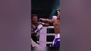 Никто не выдерживает Дэвиса #бокс #boxing #gervonta #davis #top