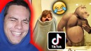 Попробуй засмеяться челлендж – лучшие приколы tik tok эдишн