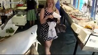 Розыгрыш с акулой