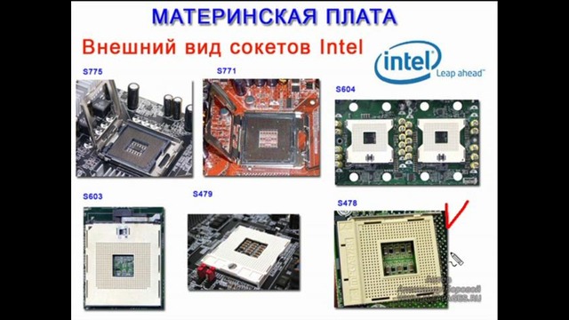 Устройство клмпьютера [3-20