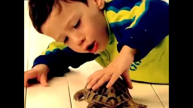 Tiny Love. Развивающий мультфильм (ПОЛНАЯ ВЕРСИЯ)