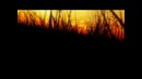 Skrillex AMW] Mix