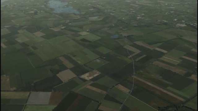 Fsx ftx global