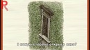 Оптические иллюзии, сбивающих с толку