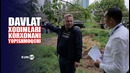 Toshkеntda xavfli epidеmiya topildimi korxonalar yopilmoqda