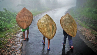 Маусинрам: самая влажная деревня в мире, где выпадает 12 метров осадков в год