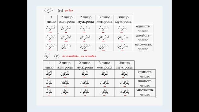 Арабский язык для начинающих урок 24 Спряжение трёхбукв. глагола в наст-будущ вр