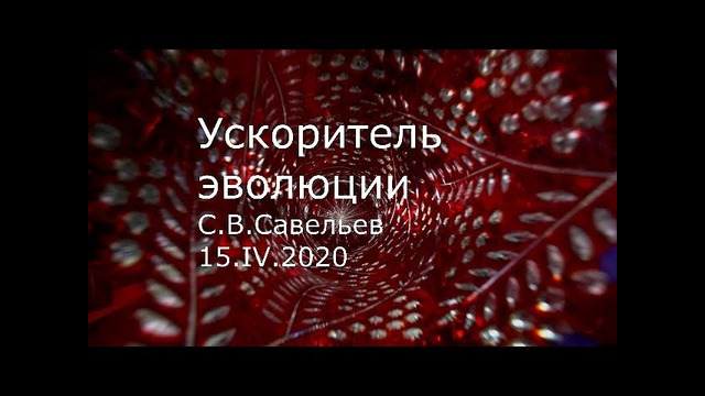 С.В. Савельев – Ускоритель эволюции