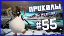 Приколы за неделю 55 | ПОТРАЧЕНО