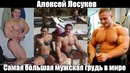 Самые невероятные тела и телосложения в мире