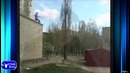 Лучшее в Coub #31