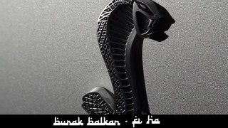 Arabic Remix – Fi Ha ( Burak Balkan Remix )