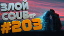 Злой best coub #203