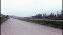 FX (3)