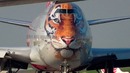 Боинг 747 Тигролет (бывш. Трансаэро) Аэропорт Внуково 2018
