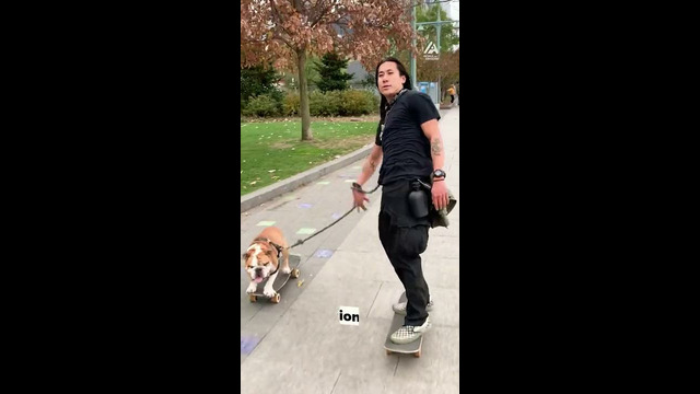 Man And Dog Skateboard In New York City | National Pet Day | People Are Awesome #shorts #pets