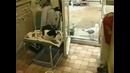У кота полное безразличие