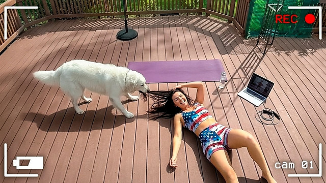 СМЕШНЫЕ МОМЕНТЫ, КОГДА ЖИВОТНЫЕ СРЫВАЮТ ТРЕНИРОВКУ