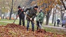 Это преступление! Нужно ли сжигать опавшие листья