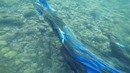 5 неожиданных находок, обнаруженных под водой