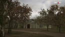 Yunus Emro 41.Qism HD 1080p