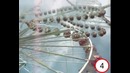 Семь самых страшных атракционнов в мире