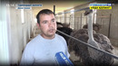 Тафсилот | Сурхондарё вилоятида асаларичилик ривожи