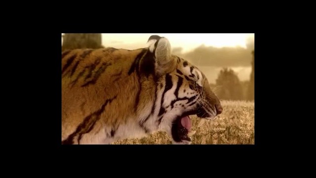 Mix of Hits Full Version
