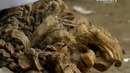 6 самых странных людей в мире