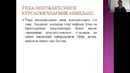 Спирометр ва Пикфлометр