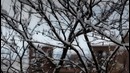 Что, если снег будет идти вечно